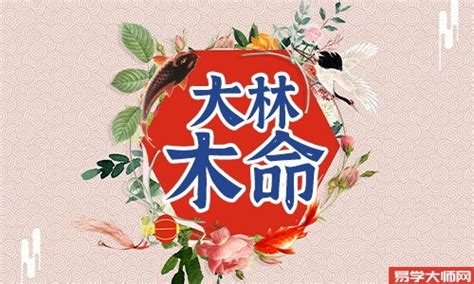 大林木命缺什么|大林木命什么年份出生的 如何化解五行所缺